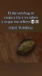 515K views · 10K reactions | Ladybug también que te caiga mal lila pero también no era para tanto xD . #reelsfyp #reels #miraculousladybug #miraculous #miraculousedit #humor #meme #memes | ℝ핆픹피ℕ 핏픻 | Facebook