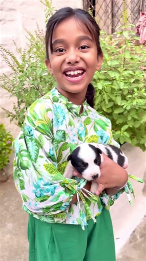 Amaira Ko mila puppy short #thegeetagurjar