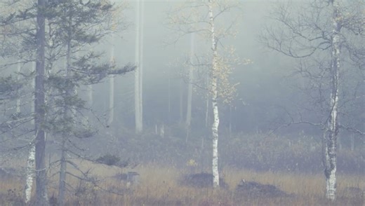 Why Landscape Photographers Should Rethink the Exposure Triangle