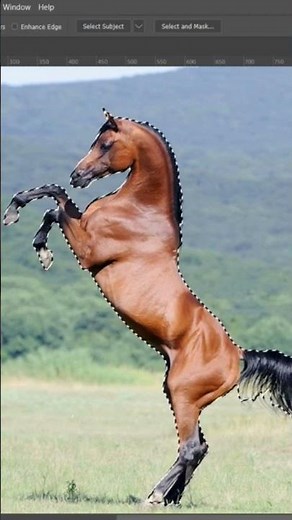 "Quick Guide: How to Remove Background in Photoshop - Simplified Tutorial"