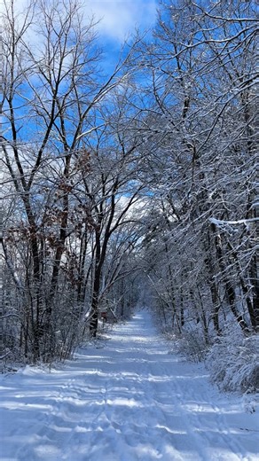 Snowy trails, crisp air, and plenty of reasons to stay outside fill this 48-hour winter adventure itinerary in Eau Claire. ❄️🌲 It’s a ready-made plan for packing a weekend with outdoor fun and seasonal highlights. Are you ready to explore? | Visit Eau Claire, WI