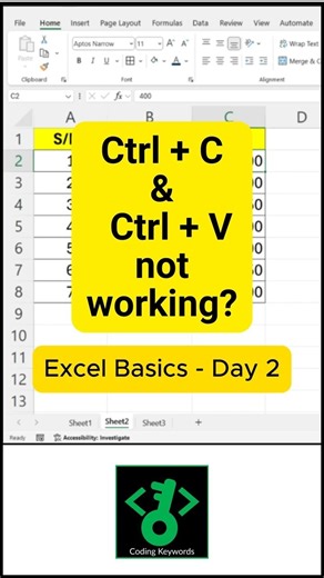 Excel Basics - Day 2 - Copy & Paste Not working