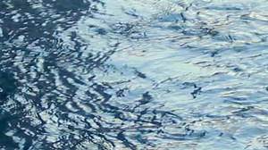 5.2K views · 150 reactions | A curandera, Mayan priestess, and...