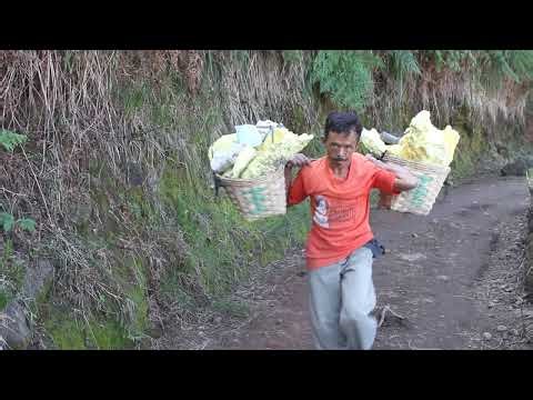 Incredible Strength! 😱 Workers in the Blue Fire Volcano (Indonesia)