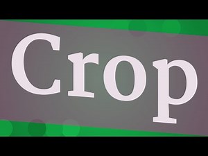 CROP pronunciation • How to pronounce CROP