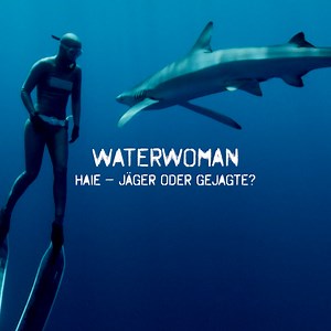 63K views · 314 reactions | 麗In "Waterwoman" besucht die erfolgreichste deutsche Freitaucherin Anna von Boetticher Regionen, die vom Wasser geprägt sind – und kommt dabei den Haien sehr nah ... ▶️ Die Doku-Reihe jetzt in der ARD Mediathek: 1.ard.de/waterwoman | ARD Mediathek | Facebook
