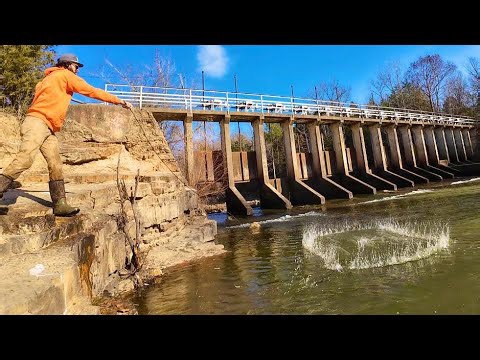 Cast net in draining lake produces shocking results