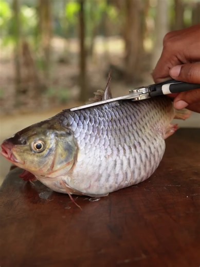 #asmr #cooking #recipe #fish #outdoors | cooking videos