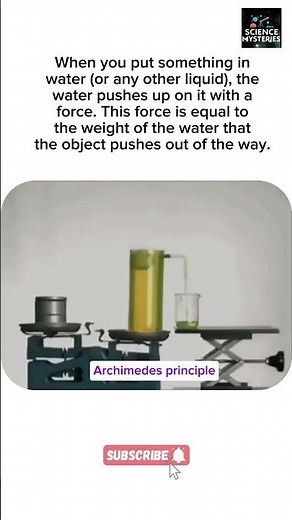 Archimedes Principle #science #facts