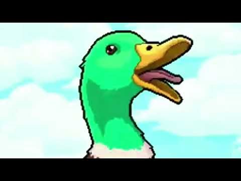 Duck Quack Meme Sound Effects