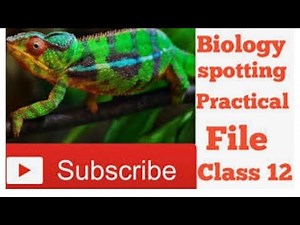 Class 12 Biology spotting practical file