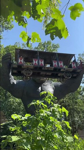 King Kong attraction incroyable au Parc Le Pal #shorts