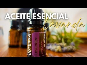 Aceite esencial de LAVANDA🪻 Usos, beneficios y cómo aplicarlo 💜El aceite que necesitas para TODO