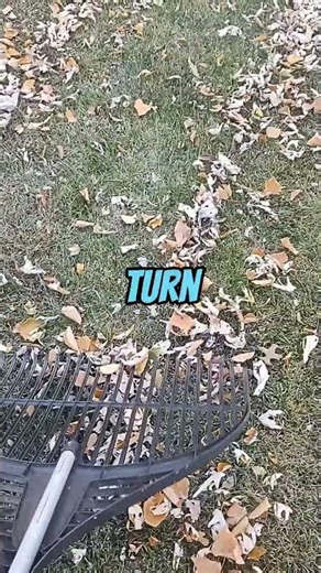 Insane Rake Hack @blackmassmotorsports