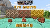 我的世界 籽岷的1.17 21w17a 最新版本介绍