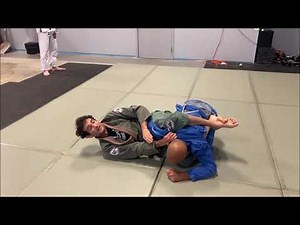 Clever Combat - Gubber Guard Flower Sweep