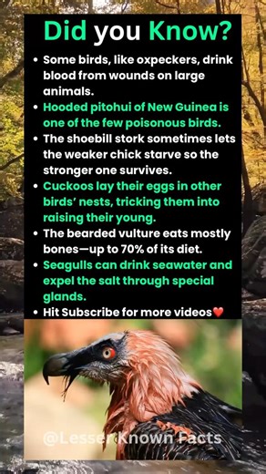 Did you know?😲