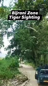 1.4K views · 46 reactions | Bijrani Zone Tiger Sighting | Jim Corbett Wildlife & Nature View | Facebook