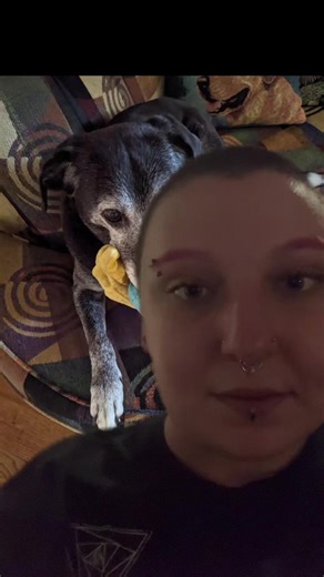 #greenscreen #dogs #dog #dogtok