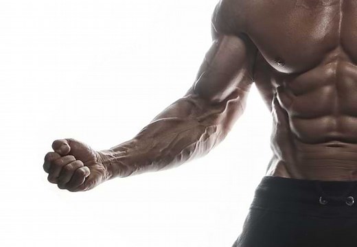 6 Best Forearm Workout Tools & Exercisers Review 2026