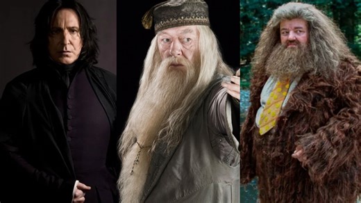 Harry Potter Series Cast Officially Announced: Meet The New Dumbledore, Hagrid And Snape