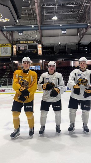 Sarnia Lady Sting Hockey Players Tutorial Dance Review