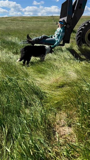 12K views · 315 reactions | Pulled out 1.5 miles of old fence this morning. 40mph steady wind with 60mph gust. Everyone should sleep good tonight! #fencing #windy #ranchlife #anotherproject | JC Farms | Facebook