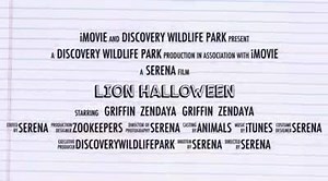 49 reactions · 11 shares | This video is a must watch to the end !!! Happy Halloween | Discovery Wildlife Park | Facebook