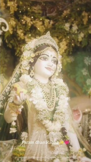 param dhan Radha✨💗🌸#radheradhe#shortsfeed# radhastatus🧿✨💗🌸
