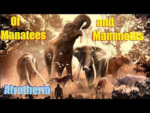 Evolution of Elephants