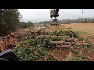 Last Of The Trees And Loading It Out