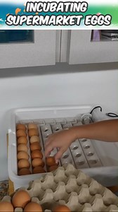 Hannah Feder on Reels | Facebook