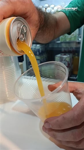 🌾 AGRICULTURA FAMILIAR: VEJA A PARTICIPAÇÃO DO VALE NA EXPOINTER 🍇🥖 No 6º dia da Expointer, o pavilhão da agricultura familiar já superou R$ 6 milhões em vendas. Produtores do Vale do Taquari se destacam com vinhos, embutidos, delícias coloniais e queijos artesanais, levando tradição e inovação para o público da feira. 🍷 Fábio Baggio, da Vinícola Baggio (Dois Lajeados) 🏡 Everson Dias, da Kolonie Haus (Teutônia) 🥮 Eliani Zimmer, das Delícias Coloniais (Sério) 🧀 Jackson Jacobs, da Queijaria