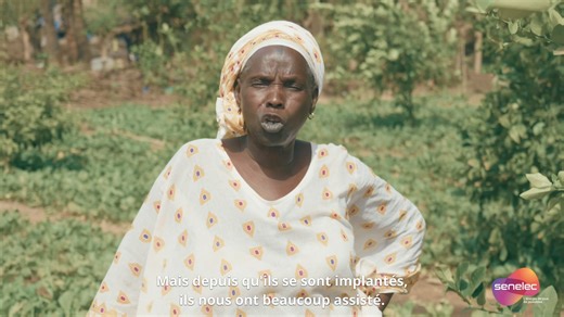 5K views · 75 reactions | Dans le cadre de notre politique RSE, nous avons initié d'importants projets avec de réels impacts sur l'autonomisation des femmes. Suivez notre vidéo avec les femmes de Fass Mbao qui ont bénéficié de financements pour soutenir leurs activités agricoles particulièrement dans le maraîchage. Senelec, l'énergie d'accompagner et d'aider les autres. #moisdelafemme #RSE #senegal #energy #electricity #Senelec | Senelec- L'Officiel | Facebook