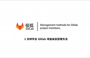 1分钟学会GitLab项目成员管理方法