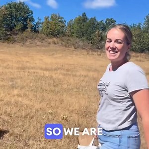 31K views · 167 reactions | This raw, organic honey is produced from our secret spot in the remote Cantabrian Mountains of Asturias, Spain... | The Raw Honey Shop | Facebook