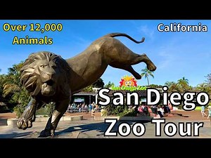 Tour of the San Diego Zoo [2026] - San Diego, California - USA