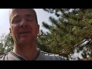 2001 to 2005 Civic Mode Control Motor Repair