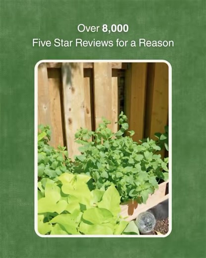 Cedar Planters on Reels