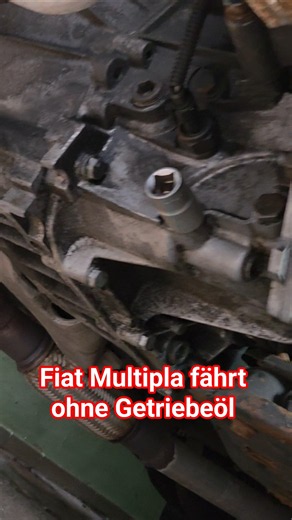 Fiat Multipla runs without transmission fluid | Multipla Garage