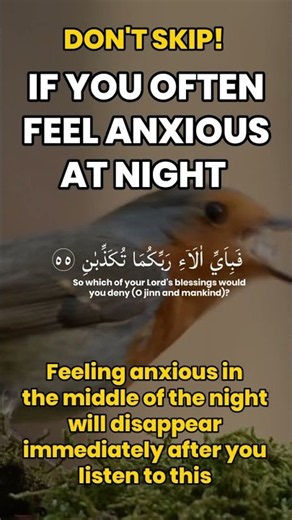 Moments of serenity with Surah Ar-Rahman 🕊️ #peaceofmind #holyquran