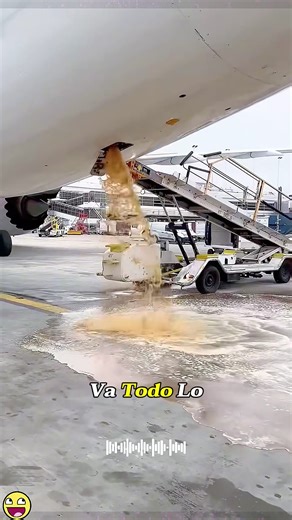 Where does the excrement on airplanes go? #Airplane #KnowledgeBoost #PassengerAirplane