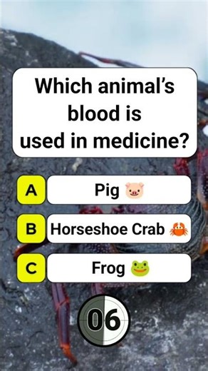 Which animal’s blood is used in medicine? #shorts #usa #quiz