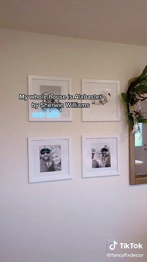 nicole boyle on TikTok