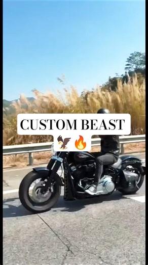 THE ULTIMATE CUSTOM HARLEY! 🔥🦅 #Shorts