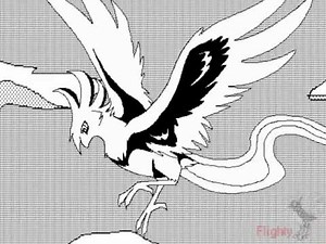 *~.:Rolling bird:.~* [AMV]