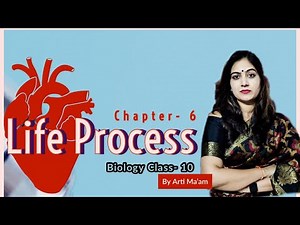 Class 10th SCIENCE || Life Process in One-Shot [BIOLOGY]- Chapter 6 || By Arti Ma'am ||
