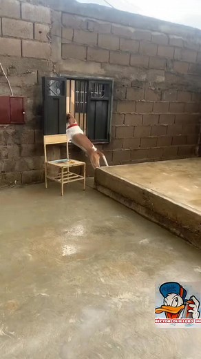 Ñerda se mari0 la vecina | Héctor quillero imc