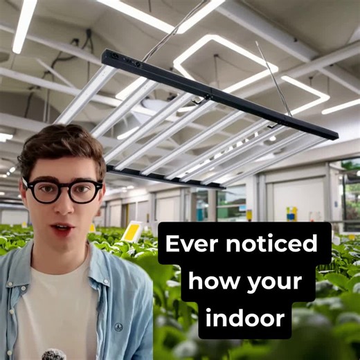 1000W Full Spectrum IP66 Led Grow Light for Hydroponic Plant Growth Growlights Dimmable Full-Spectrum Plant Growth Lamp