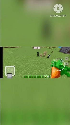 How To Tame rabbit In Minecraft?!🐇🐇🐇🐇🐇#birdtrend #minecraft #cosplayer#aestheic